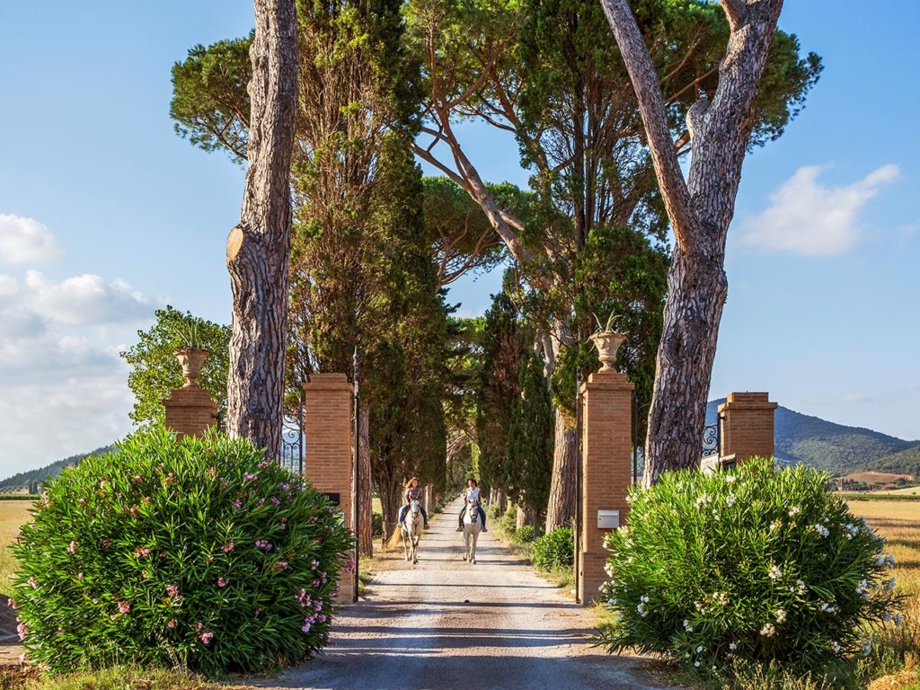 Accademia delle Esperienze Offer