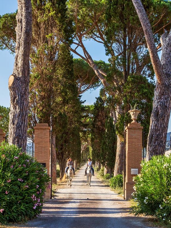 Accademia delle Esperienze Offerta