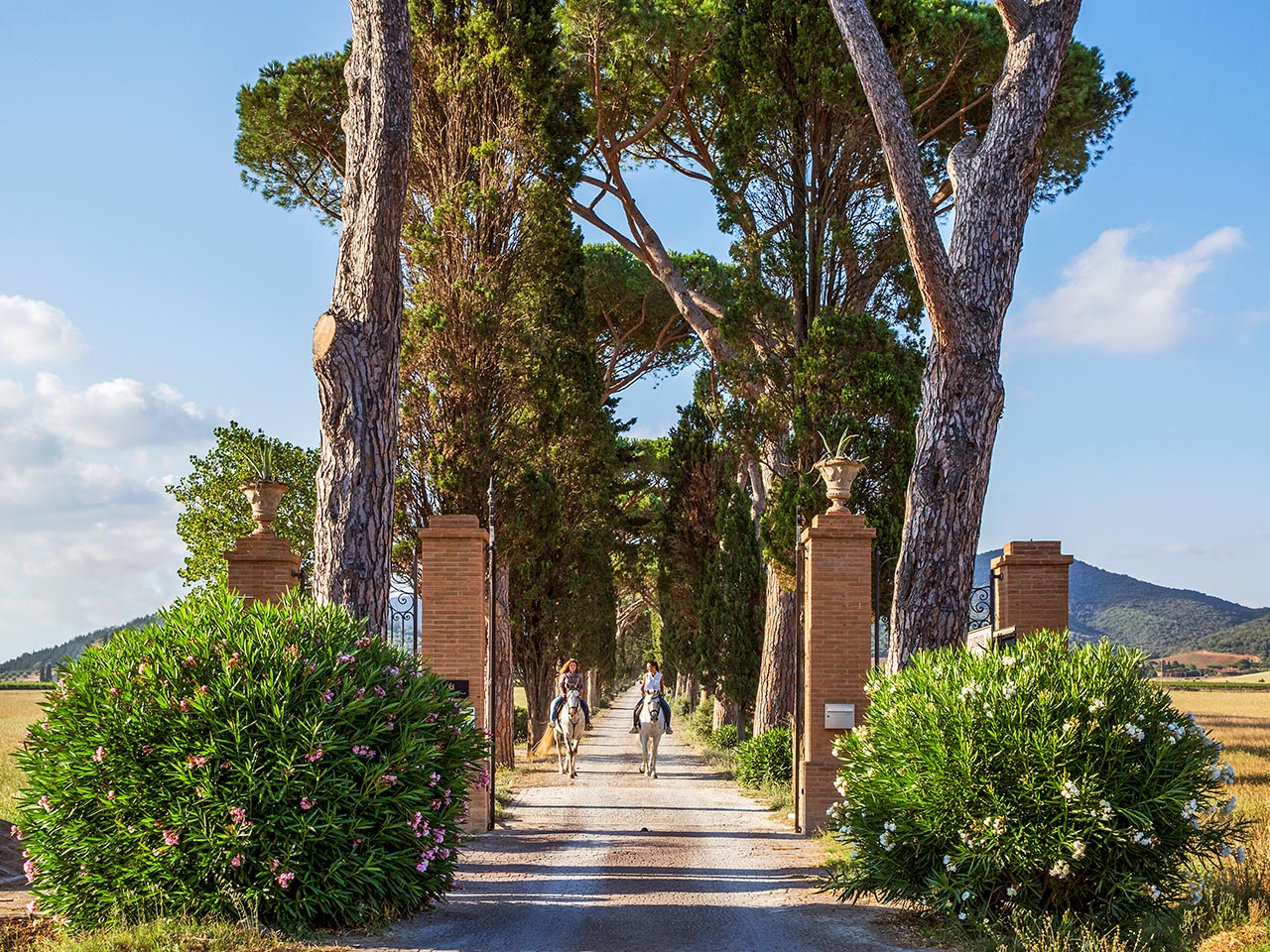 Accademia delle Esperienze Offerta