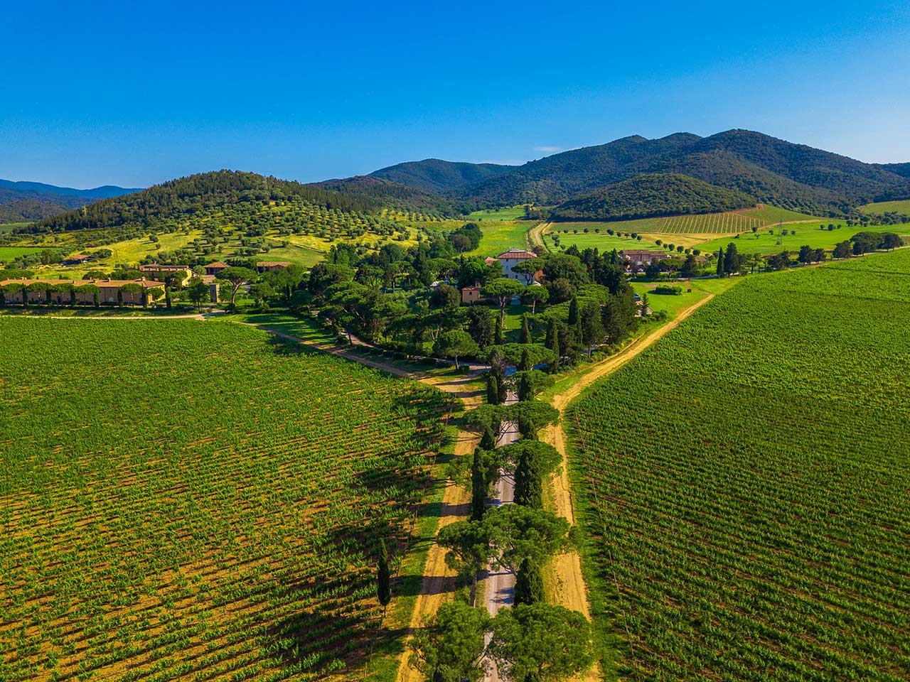 ponte 2 giugno maremma toscana
