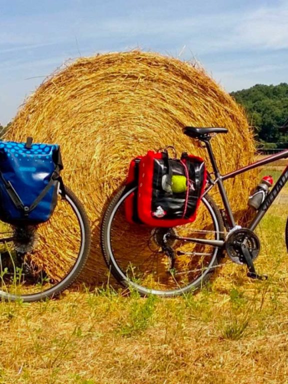 wine and bike tour in maremma