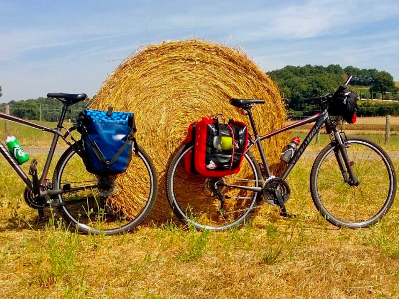 wine and bike tour in maremma