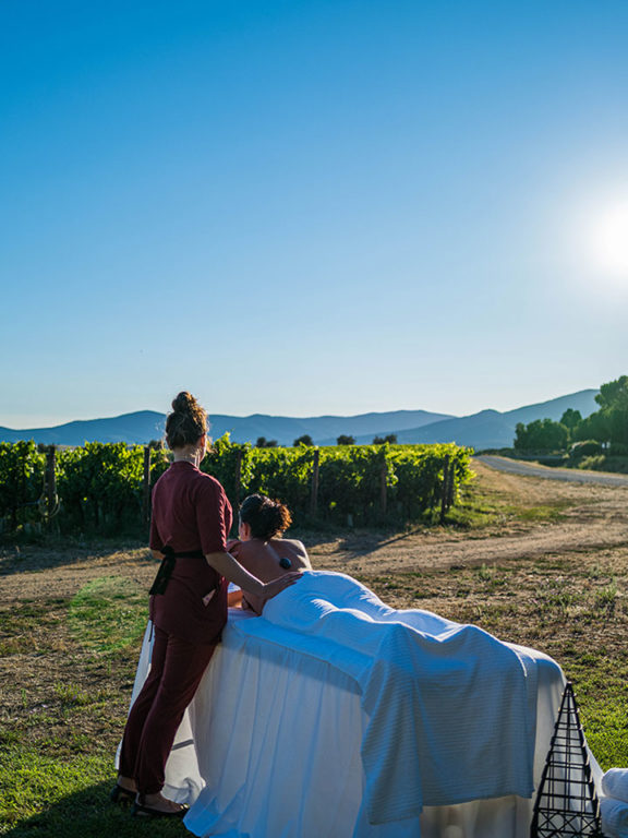 Vendemmia experience a L'Andana Resort in Toscana